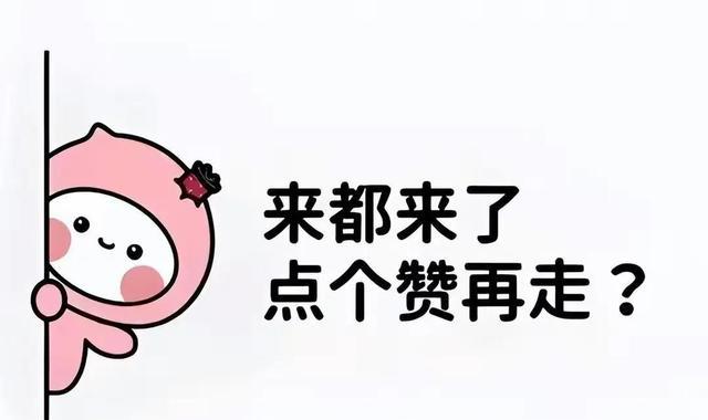 内容结构优化