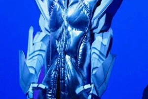 向佐：武打新星的才华与低调精神
